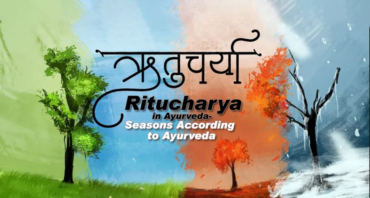 Ritucharya in Ayurveda - Seasons According to Ayurveda