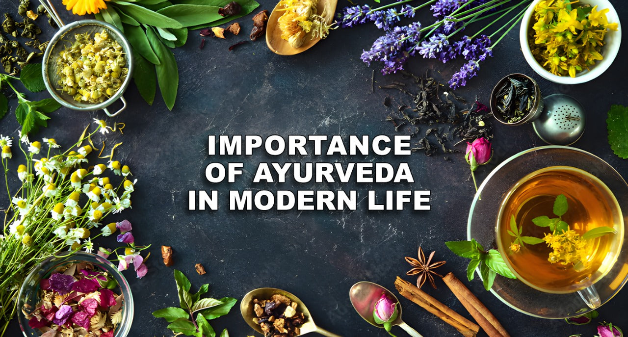 Importance Of Ayurveda In Our Modern Life