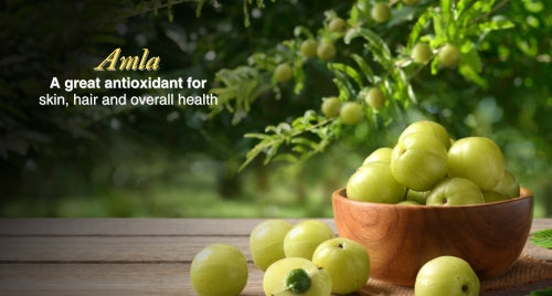 Amla - A great antioxidant for skin, hair and overall health