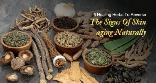 5 Healing Herbs To Reverse The Signs Of Skin ageing Naturally